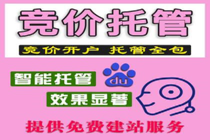 案例解析：SEM投放助力电商增长